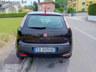 Fiat Punto Evo 1.2 5 porte Active (5)