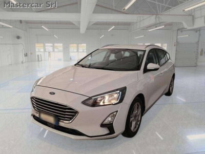 Ford Focus Station Wagon 1.5 EcoBlue 95 CV SW Business (2)