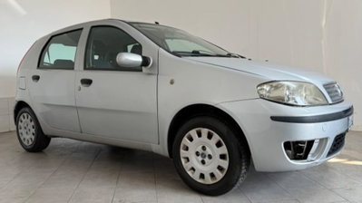 Fiat Punto Classic 1.2 5 porte Dynamic (2)