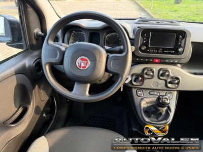 Fiat Panda 1.0 firefly hybrid s&s 70cv 5p.ti (15)