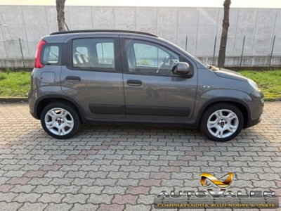 Fiat Panda 1.0 firefly hybrid s&s 70cv 5p.ti (5)