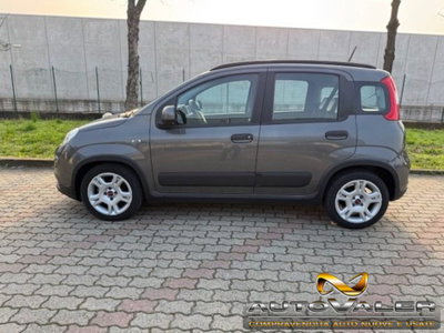 Fiat Panda 1.0 firefly hybrid s&s 70cv 5p.ti (6)