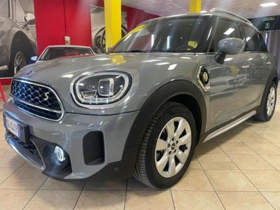 MINI Mini Countryman 1.5 Cooper Hype Countryman ALL4 (3)