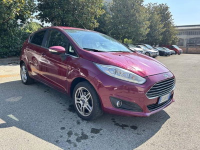 Ford Fiesta 1.4 5 porte Bz.- GPL Titanium (2)