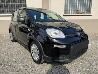 Fiat Panda 1.0 firefly hybrid s&s 70cv 5p.ti (3)