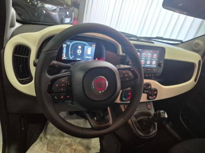 Fiat Panda Cross 1.0 firefly hybrid Cross s&s 70cv 5p.ti (5)