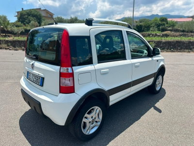 Fiat Panda 1.3 MJT 16V DPF 4x4 Climbing (4)