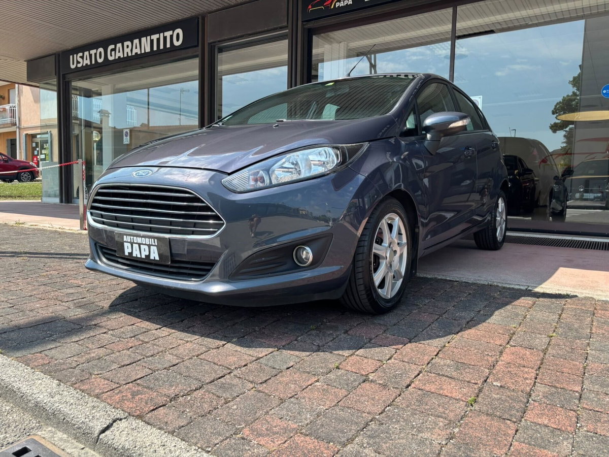 Ford Fiesta 1.2 82 CV 5 porte Titanium (17)