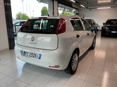 Fiat Punto 1.2 8V 5 porte Street (2)