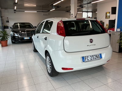 Fiat Punto 1.2 8V 5 porte Street (3)