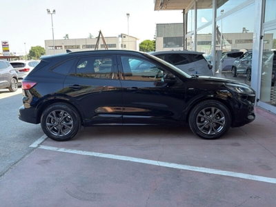 Ford Kuga 2.5 Full Hybrid 190 CV CVT 2WD ST-Line Design (17)
