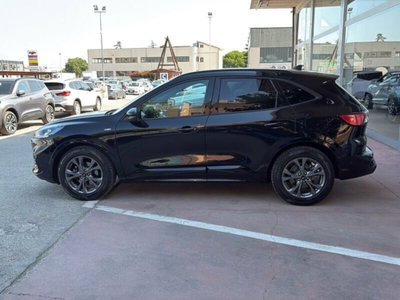 Ford Kuga 2.5 Full Hybrid 190 CV CVT 2WD ST-Line Design (4)