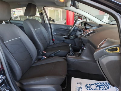 Ford Fiesta 1.4 5 porte Bz.- GPL Titanium (14)
