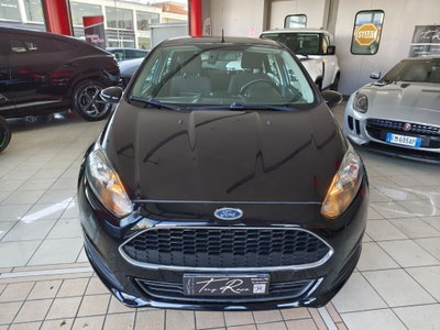 Ford Fiesta 1.4 5 porte Bz.- GPL Titanium (3)