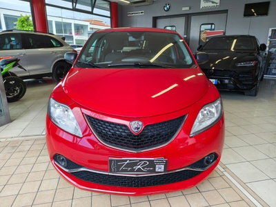 Lancia Ypsilon 1.3 MJT 16V 95 CV 5 porte S&S Platinum (3)