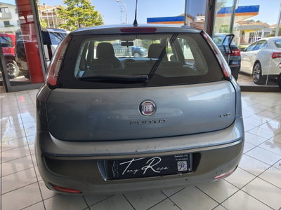 Fiat Punto Evo 1.3 Mjt 90 CV 5 porte Dualogic Dynamic (6)