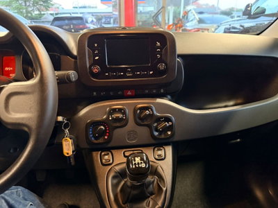 Fiat Panda Cross Cross 1.0 FireFly S&S Hybrid (18)