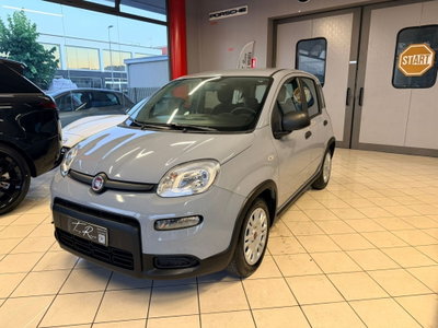 Fiat Panda Cross Cross 1.0 FireFly S&S Hybrid (2)