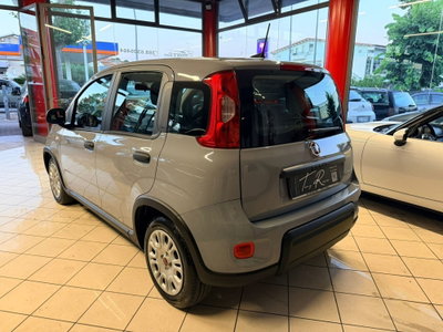Fiat Panda Cross Cross 1.0 FireFly S&S Hybrid (5)