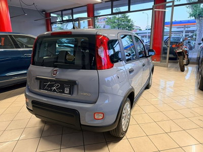 Fiat Panda Cross Cross 1.0 FireFly S&S Hybrid (6)