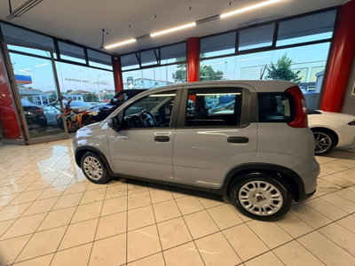 Fiat Panda Cross Cross 1.0 FireFly S&S Hybrid (7)