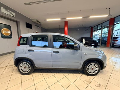 Fiat Panda Cross Cross 1.0 FireFly S&S Hybrid (8)