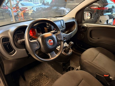 Fiat Panda Cross Cross 1.0 FireFly S&S Hybrid (9)
