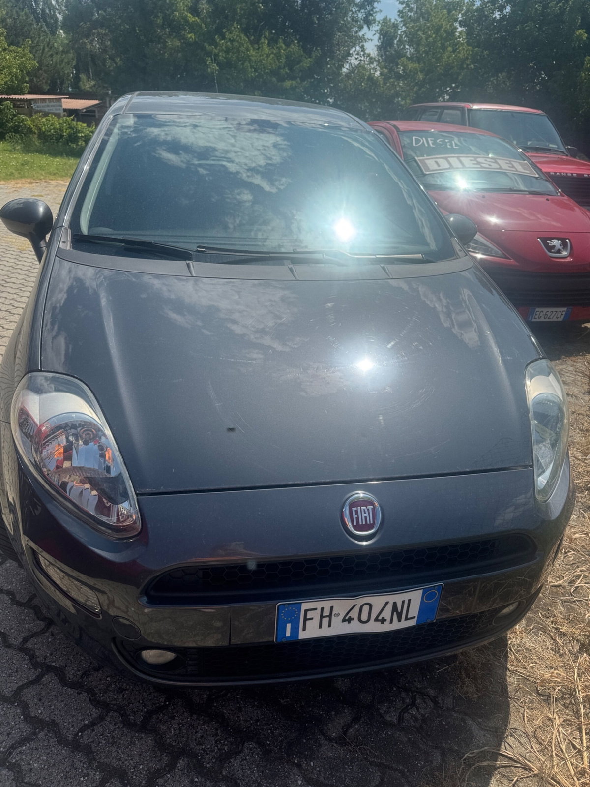 Fiat Punto 1.2 8V 5 porte Street (7)