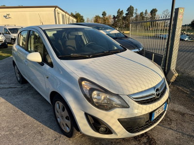 Opel Corsa 1.2 85CV 3 porte GPL-TECH b-color (4)