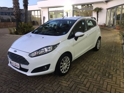 Ford Fiesta 1.4 5 porte Bz.- GPL Titanium (2)