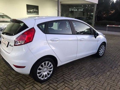 Ford Fiesta 1.4 5 porte Bz.- GPL Titanium (5)