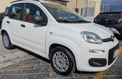Fiat Panda 1.3 MJT S&S Easy usata