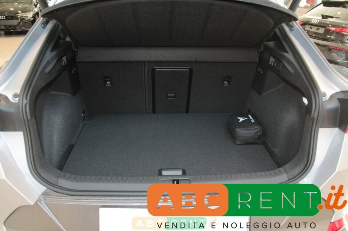 Cupra Formentor Formentor 2.0 tdi 4drive 150cv dsg (16)
