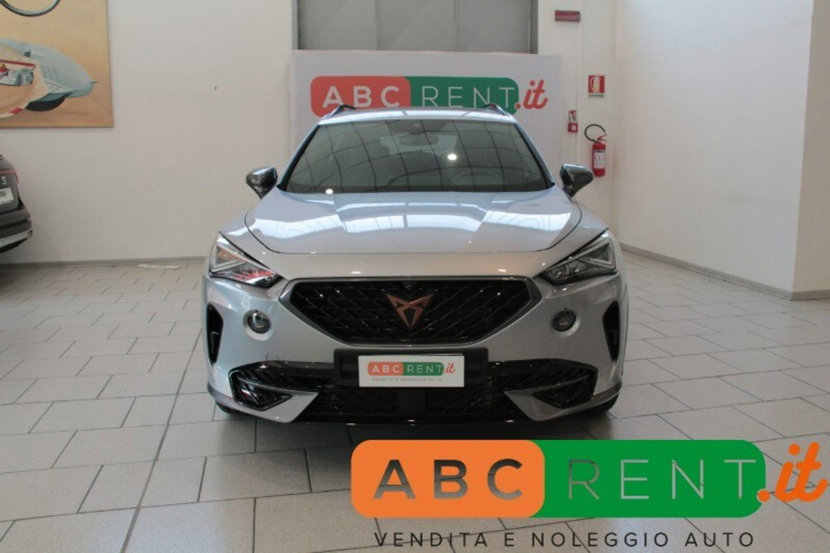 Cupra Formentor Formentor 2.0 tdi 4drive 150cv dsg (2)