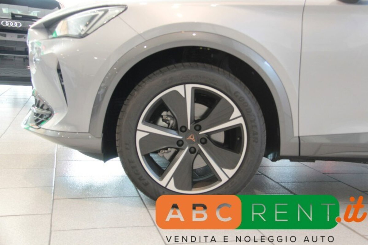 Cupra Formentor Formentor 2.0 tdi 4drive 150cv dsg (3)
