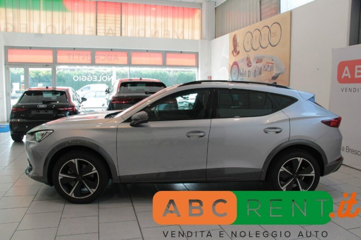 Cupra Formentor Formentor 2.0 tdi 4drive 150cv dsg (4)