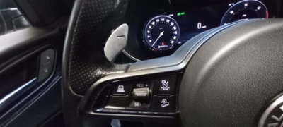 Alfa Romeo Stelvio Stelvio 2.2 Turbodiesel 160 CV AT8 RWD Sprint (11)