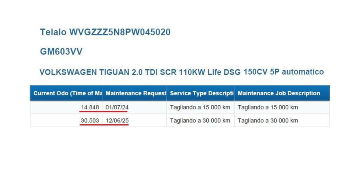 Volkswagen Tiguan 2.0 TDI 150 CV SCR DSG 4MOTION Life (15)