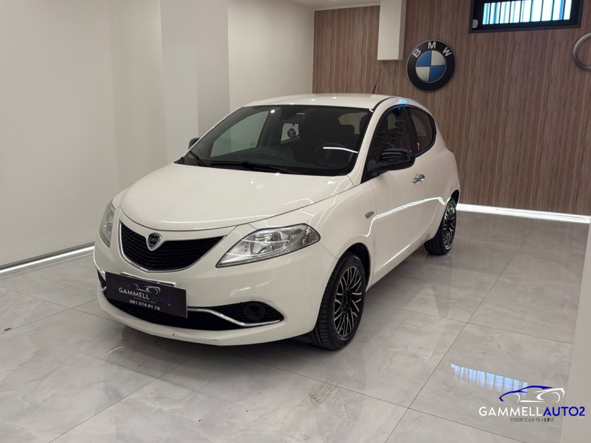 Lancia Ypsilon 1.3 MJT 16V 95 CV 5 porte S&S Silver (3)
