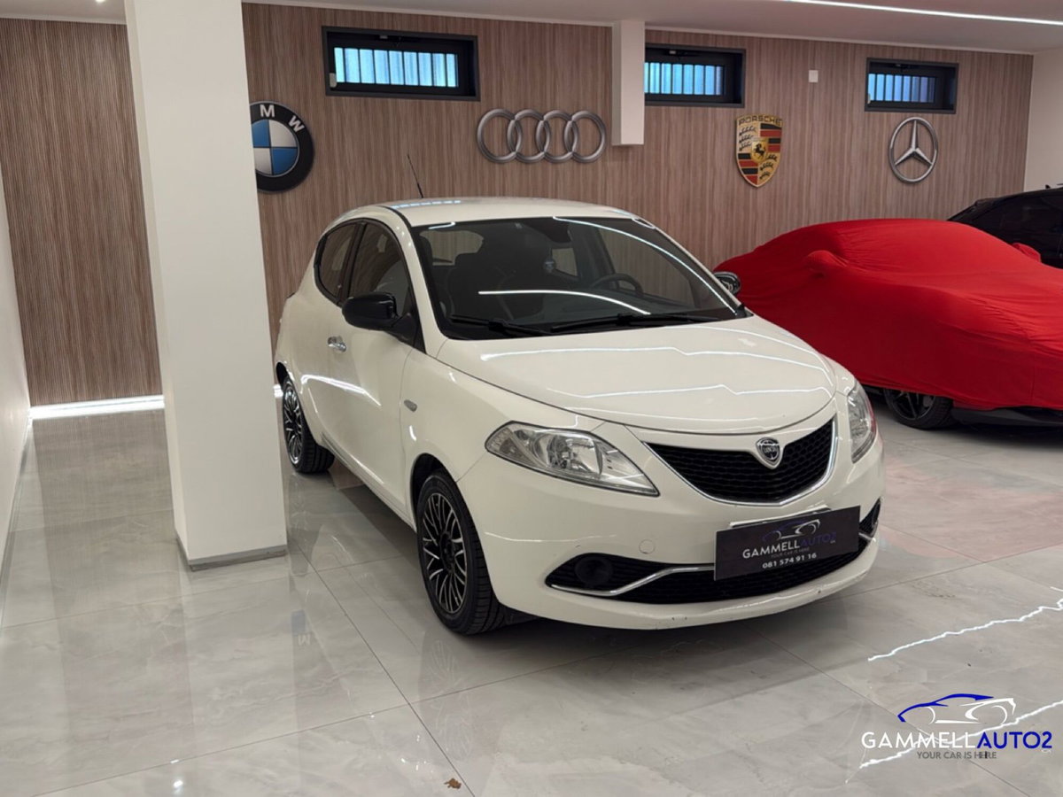 Lancia Ypsilon 1.3 MJT 16V 95 CV 5 porte S&S Silver (4)
