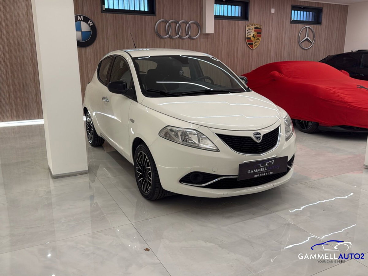 Lancia Ypsilon 1.3 MJT 16V 95 CV 5 porte S&S Silver (5)