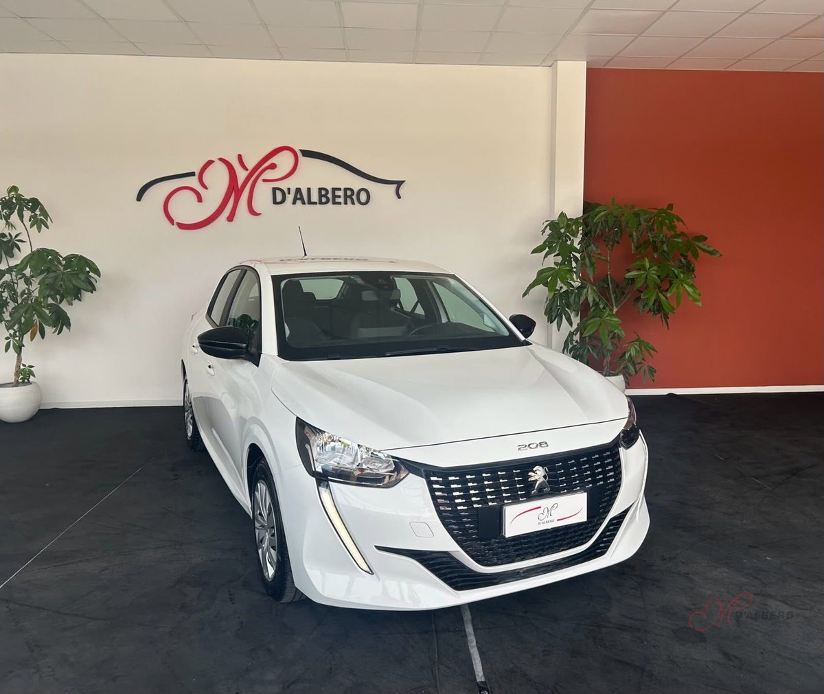 Peugeot 208 PureTech 75 Stop&Start 5 porte Active Pack (2)