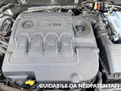 Skoda Octavia Station Wagon 1.6 TDI CR 115 CV Wagon Executive (18)