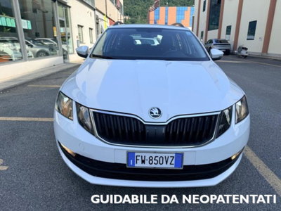 Skoda Octavia Station Wagon 1.6 TDI CR 115 CV Wagon Executive (3)