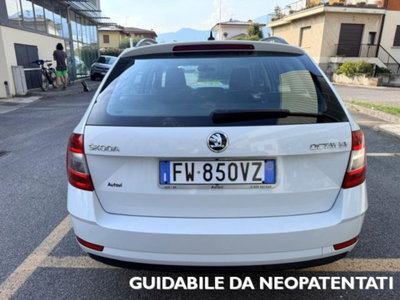 Skoda Octavia Station Wagon 1.6 TDI CR 115 CV Wagon Executive (4)