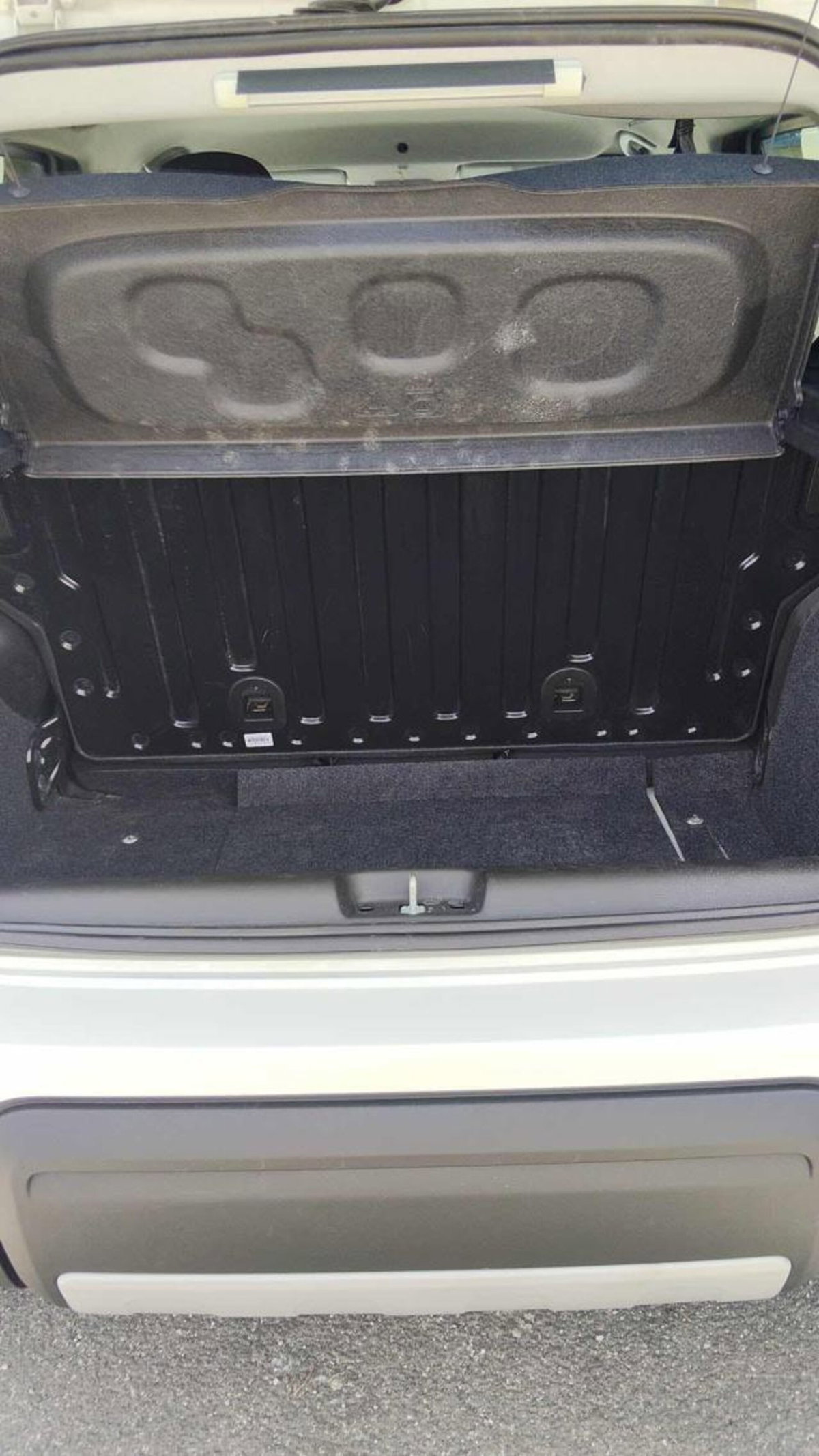 Fiat Panda 0.9 TwinAir Turbo S&S 4x4 Wild (5)