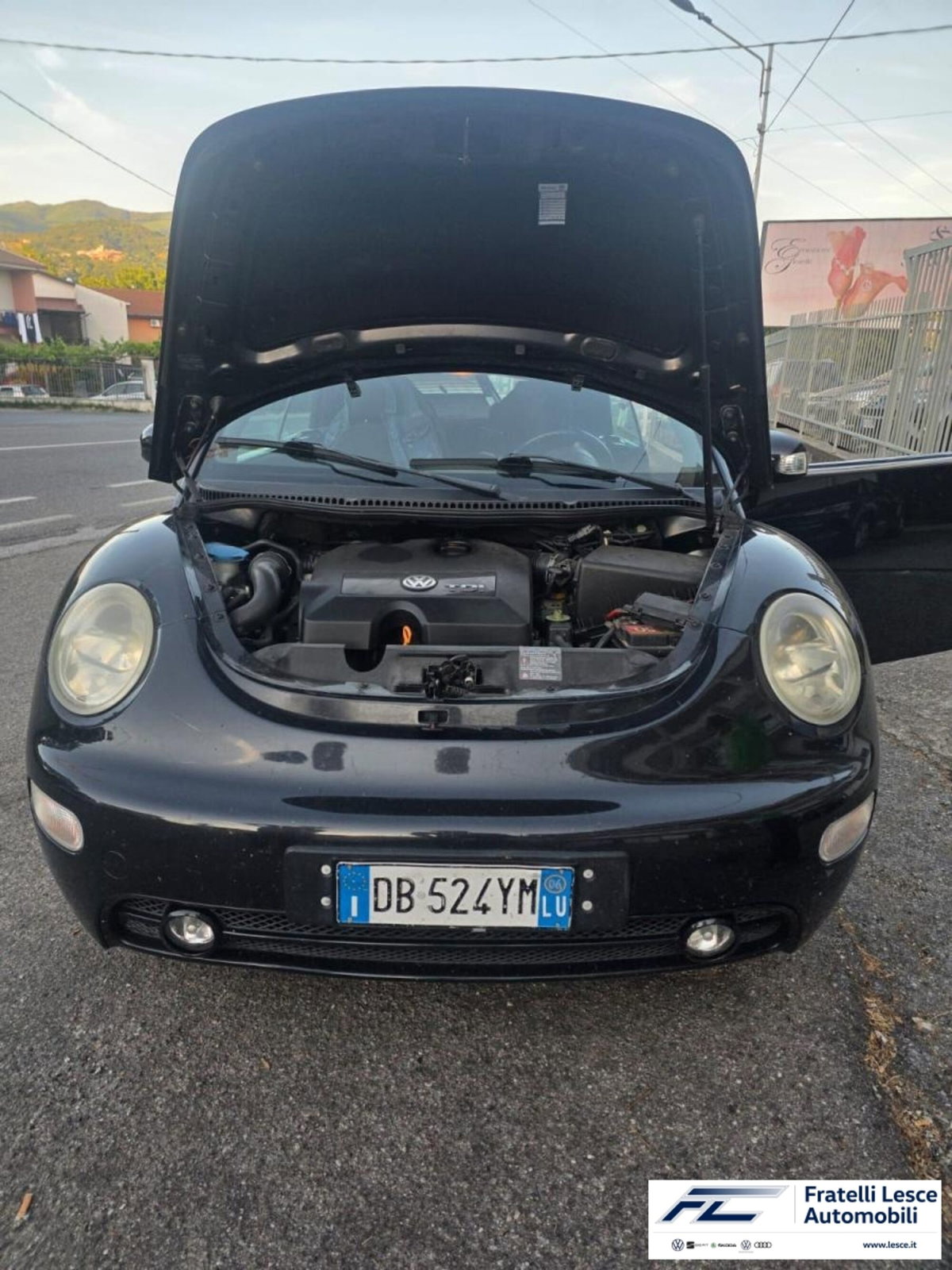 Volkswagen New Beetle Cabrio TDI 105CV (2)