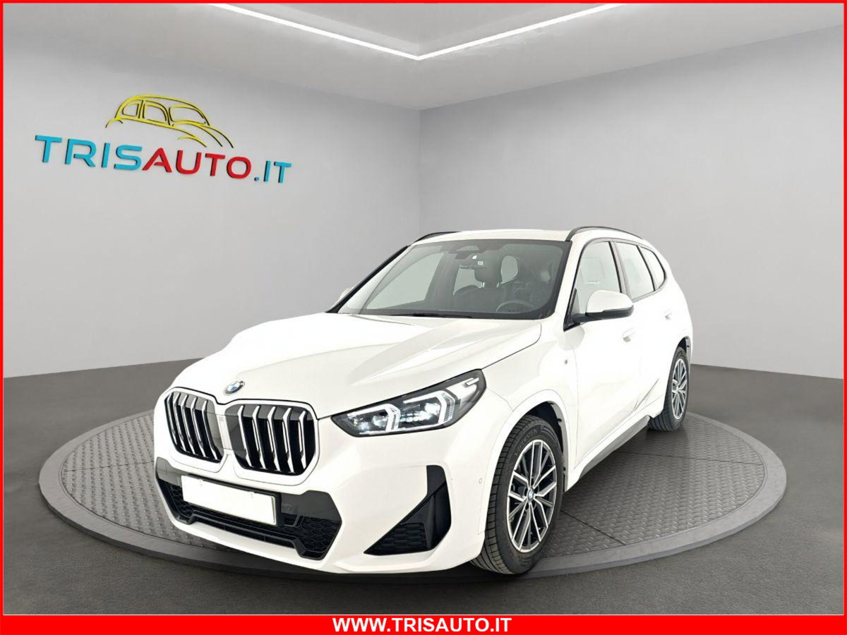 BMW X1 sdrive18d MSport auto (3)
