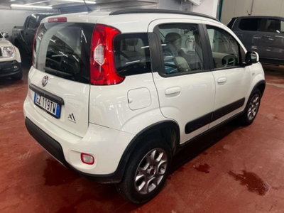 Fiat Panda 1.3 MJT 16V DPF 4x4 Climbing (4)