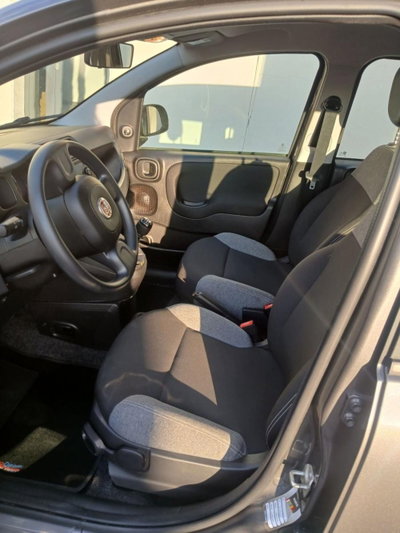 Fiat Panda 1.0 FireFly S&S Hybrid (12)